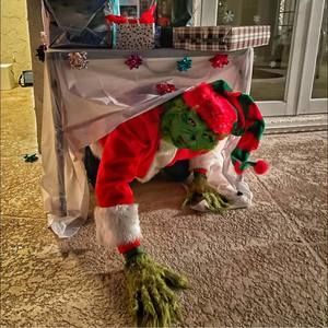 Meet your Posher, William